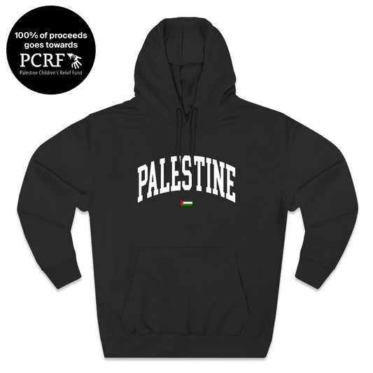Palestine Varsity Hoodie