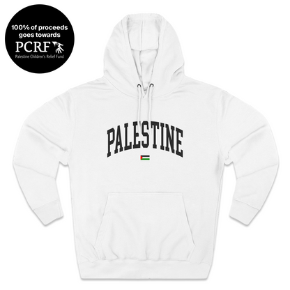 Palestine Varsity Hoodie